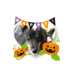 2018ccoc ハロウィン（個別スタンプ：18）