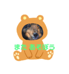 2018ccoc ハロウィン（個別スタンプ：24）