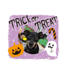 ミニピン ハロウィン おやつぷりーず！（個別スタンプ：3）