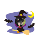ミニピン ハロウィン おやつぷりーず！（個別スタンプ：4）