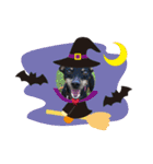 ミニピン ハロウィン おやつぷりーず！（個別スタンプ：5）