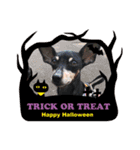 ミニピン ハロウィン おやつぷりーず！（個別スタンプ：6）