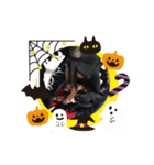 ミニピン ハロウィン おやつぷりーず！（個別スタンプ：9）