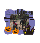 ミニピン ハロウィン おやつぷりーず！（個別スタンプ：22）