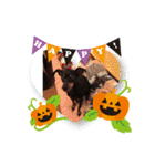 ミニピン ハロウィン おやつぷりーず！（個別スタンプ：28）