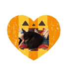 ミニピン ハロウィン おやつぷりーず！（個別スタンプ：29）