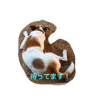 動物達の日常1（個別スタンプ：2）