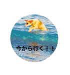 動物達の日常1（個別スタンプ：11）