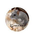 動物達の日常1（個別スタンプ：25）