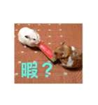 動物達の日常1（個別スタンプ：32）