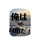 ハッピーの毎日（個別スタンプ：4）
