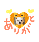 チワワのCocoa のハロウィン（個別スタンプ：16）