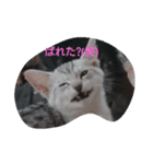 feeling a cats（個別スタンプ：2）