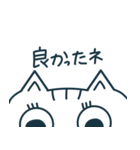 日常会話スタンプ 半顔ねこ（個別スタンプ：8）