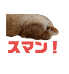 いわがねJill（個別スタンプ：8）