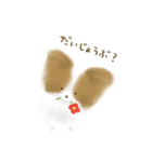 ふわふわパピヨン（個別スタンプ：4）