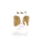 ふわふわパピヨン（個別スタンプ：6）