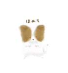 ふわふわパピヨン（個別スタンプ：9）