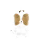 ふわふわパピヨン（個別スタンプ：14）