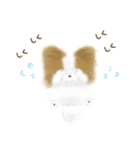 ふわふわパピヨン（個別スタンプ：15）