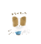 ふわふわパピヨン（個別スタンプ：17）
