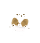 ふわふわパピヨン（個別スタンプ：20）