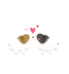 ふわふわパピヨン（個別スタンプ：30）
