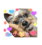 れあたんスタンプ（個別スタンプ：16）