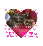 れあたんスタンプ（個別スタンプ：25）