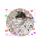 れあたんスタンプ（個別スタンプ：35）