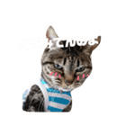 ダックスその他の愉快な仲間たちの日常9（個別スタンプ：6）