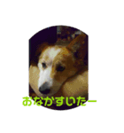 かの家のナナ（個別スタンプ：7）