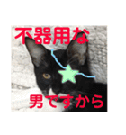 ニャンコ自宅警備隊（個別スタンプ：2）