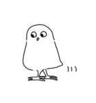 めがあわないとり（個別スタンプ：38）