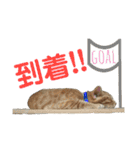 愛猫がシンプルに気持ちを伝える（個別スタンプ：4）