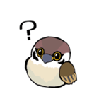 すずめのチュン助（個別スタンプ：2）