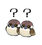 すずめのチュン助（個別スタンプ：3）