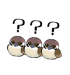 すずめのチュン助（個別スタンプ：4）
