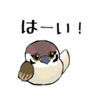 すずめのチュン助（個別スタンプ：5）