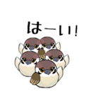 すずめのチュン助（個別スタンプ：6）