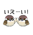 すずめのチュン助（個別スタンプ：7）