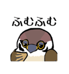すずめのチュン助（個別スタンプ：9）