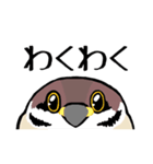 すずめのチュン助（個別スタンプ：12）