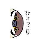 すずめのチュン助（個別スタンプ：13）