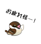すずめのチュン助（個別スタンプ：14）
