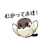 すずめのチュン助（個別スタンプ：15）