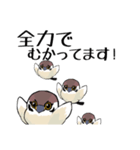 すずめのチュン助（個別スタンプ：16）