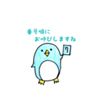 市役所のペンギン@市民課（個別スタンプ：13）