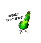 実写動物Stamp（個別スタンプ：2）