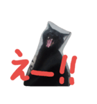マキにゃん（個別スタンプ：1）